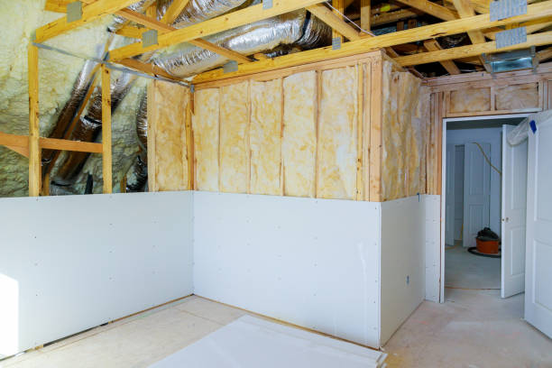 Best Eco-Friendly Insulation in Celoron, NY