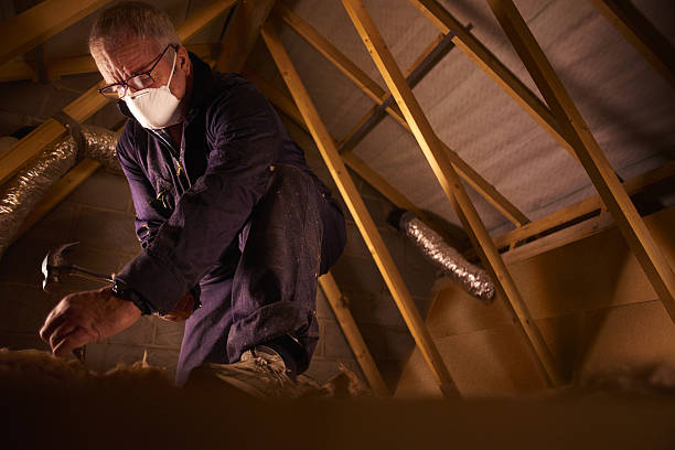 Best Geographic-Specific Insulation Services in Celoron, NY